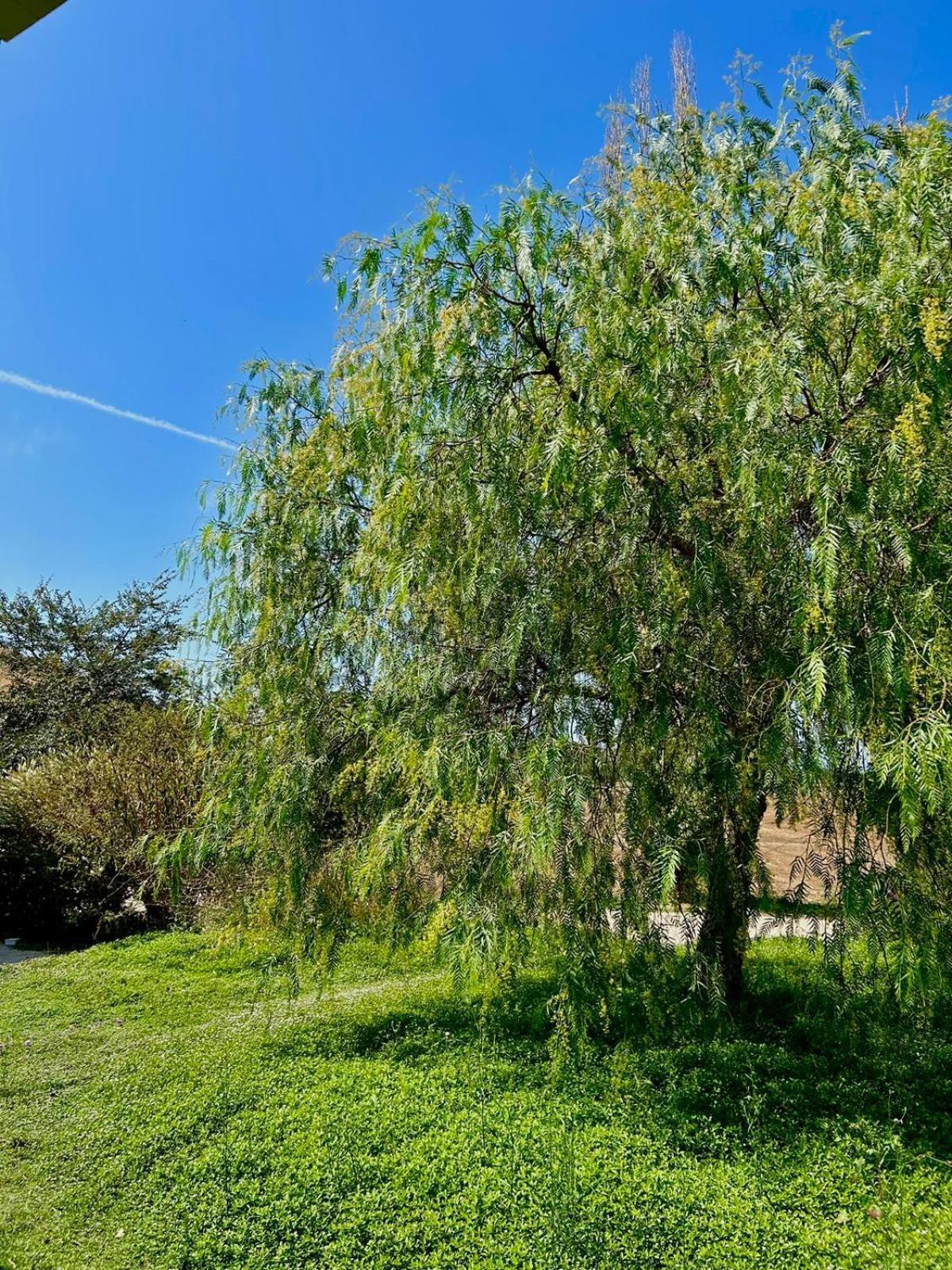 Agriturismo Podere Farnesiana Tarquinia Zewnętrze zdjęcie